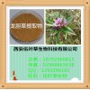 龙胆提取物