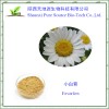 天地源专业生产小白菊提取物小白菊内酯0.2%-1%