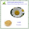 天地源专业生产小白菊提取物小白菊内酯0.2%-1%