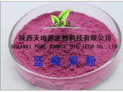 纯天然蓝莓果粉，无任何添加剂