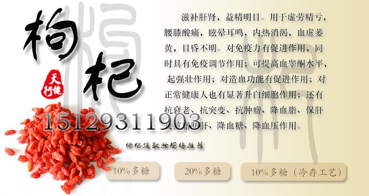 枸杞t01(补)
