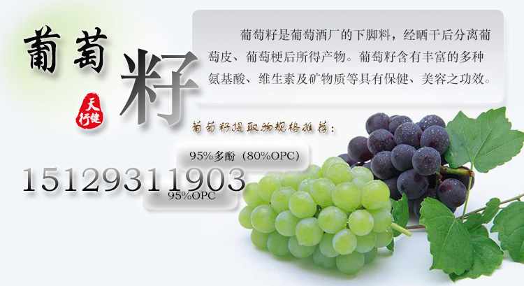 葡萄籽t01（补）