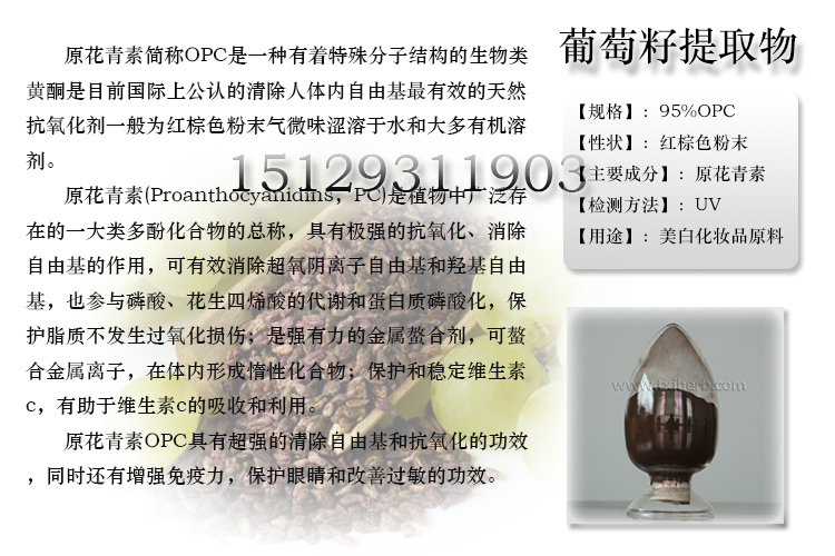 葡萄籽t02（补）95%OPC