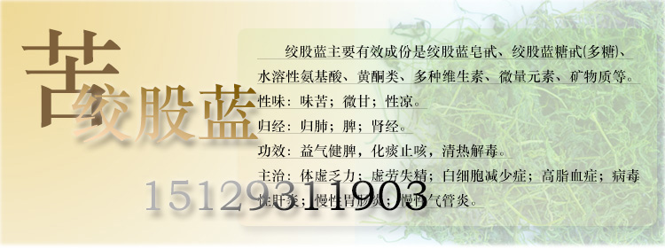 绞股蓝t01(补)