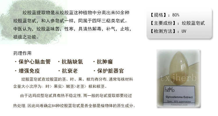 绞股蓝t02