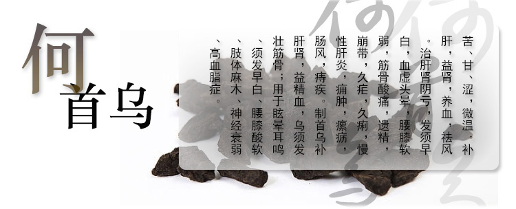 何首乌t01（补）