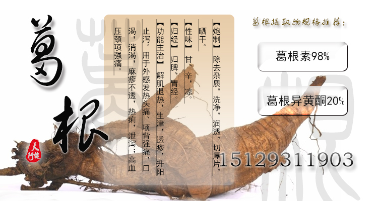 葛根t01(补)