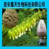 苦参提取物厂家