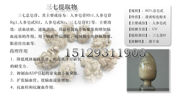 三七t02（补）茎叶