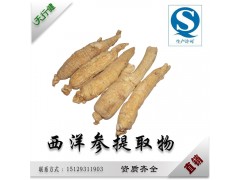 天行健工厂直销 西洋参提取物 80%茎叶皂甙