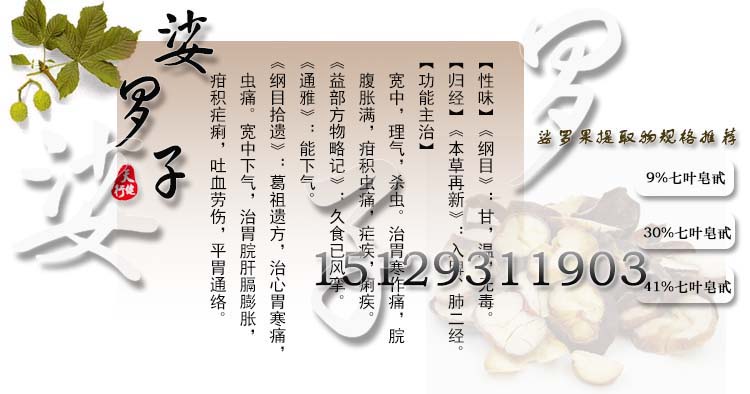 娑罗果t01(补)
