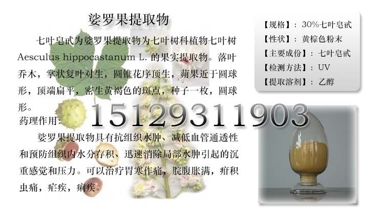 娑罗果t02(补)