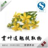 天行健工厂直销 贯叶连翘提取物 0.3%金丝桃甙