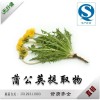 天行健工厂直销 蒲公英提取物 10%蒲公英黄酮