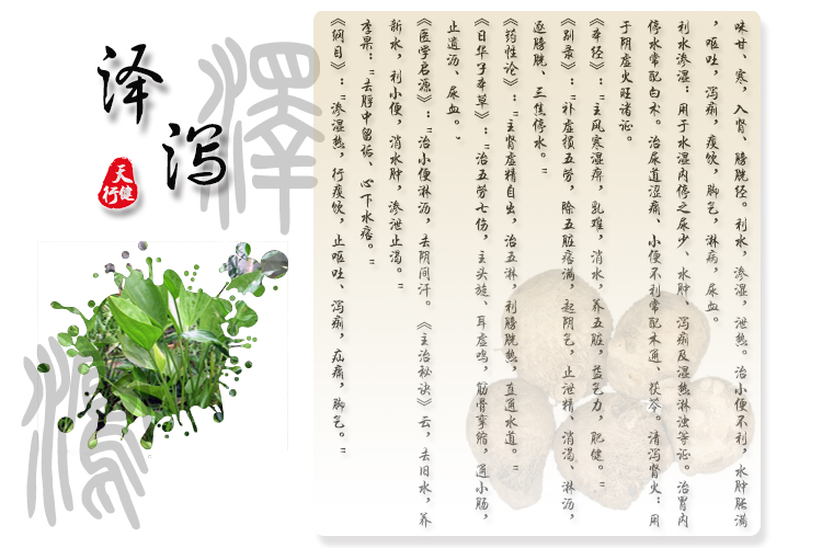泽泻t01
