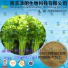 芹菜浓缩粉 工厂生产 代加工植物提取物