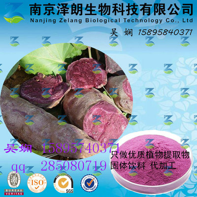 紫薯浓缩粉 工厂生产 代加工植物提取物