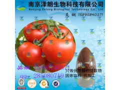 番茄浓缩粉 工厂生产 代加工植物提取物