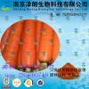 胡萝卜浓缩粉 工厂生产 代加工植物提取物