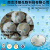 大蒜浓缩粉 工厂生产 代加工植物提取物