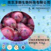 洋葱浓缩粉 工厂生产 代加工植物提取物