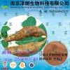葛根浓缩粉 工厂生产 代加工植物提取物