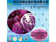 紫甘蓝浓缩粉 工厂生产 代加工植物提取物