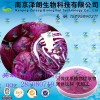 紫甘蓝浓缩粉 工厂生产 代加工植物提取物