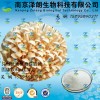 金针菇浓缩粉 工厂生产 代加工植物提取物