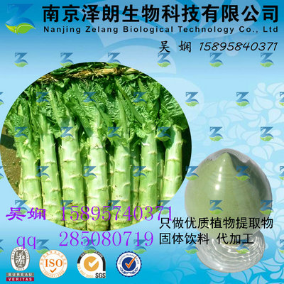 莴苣浓缩粉  工厂生产 代加工植物提取物