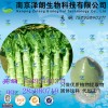 莴苣浓缩粉  工厂生产 代加工植物提取物