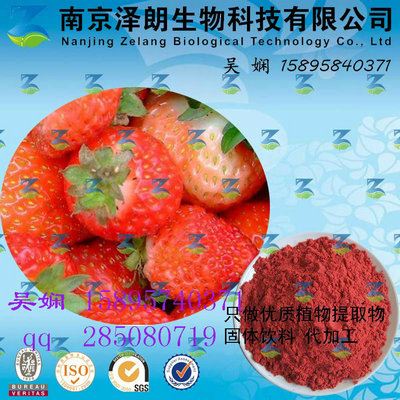 草莓浓缩粉 工厂生产 代加工植物提取物