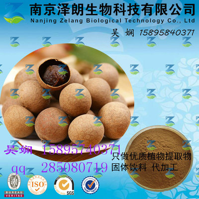 桂圆浓缩粉 工厂生产 代加工植物提取物