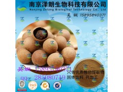 桂圆浓缩粉 工厂生产 代加工植物提取物