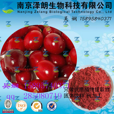 蔓越莓浓缩粉 工厂生产 代加工植物提取物