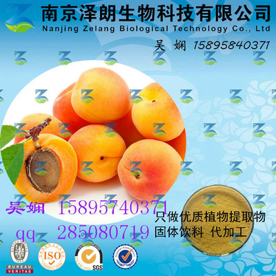 杏浓缩粉 工厂生产 代加工植物提取物