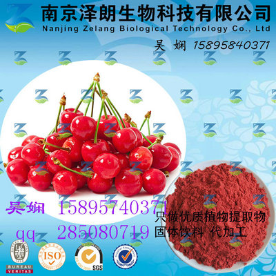 樱桃浓缩粉 工厂生产 代加工植物提取物