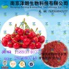 樱桃浓缩粉 工厂生产 代加工植物提取物