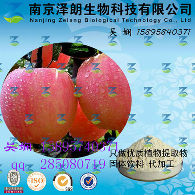 苹果浓缩粉 工厂生产 代加工植物提取物