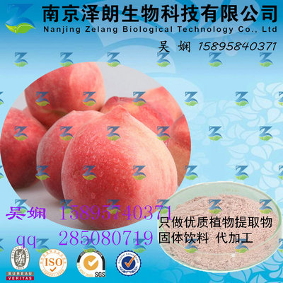 水蜜桃浓缩粉 工厂生产 代加工植物提取物