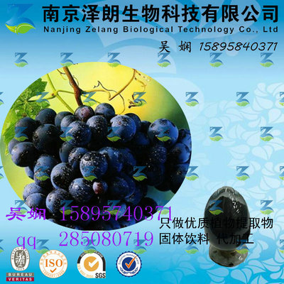 黑加仑浓缩粉 工厂生产 代加工植物提取物
