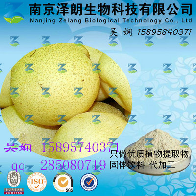 梨浓缩粉 工厂生产 代加工植物提取物