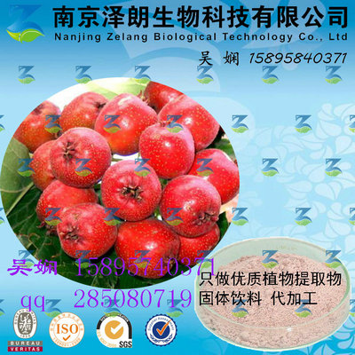 山楂浓缩粉 工厂生产 代加工植物提取物