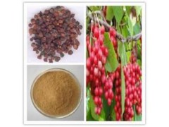 五味子提取物的用途 五味子提取物医药级价格