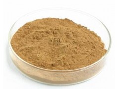 啤酒酵母粉|现货供应|量大从优|厂家报价