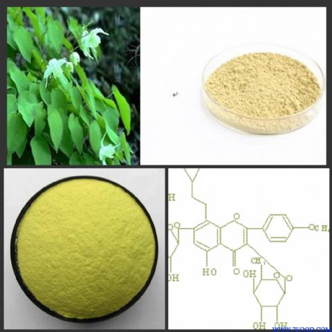 多种含量|淫羊藿提取物|厂家供应|物美价廉