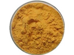 供应葛根黄酮|食品级/医药级|	清凉下火，开胃下食，利尿解酒