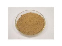 医药保健品锁阳提取物、补肾壮阳功效锁阳提取物优质供应