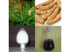 苦参碱 苦参提取物 苦豆子提取物 98% 日化级 医药级