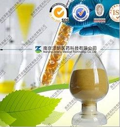 桑葚浓缩粉 厂家直销（现货）